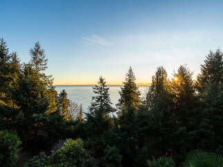 Enjoy breathtaking ocean views from this stunning property, nestled amongst lush greenery.