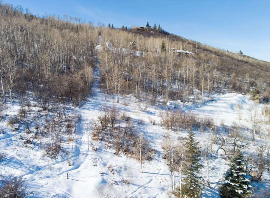 Nestled in a serene winter landscape, this property offers a unique blend of natural beauty and modern living.