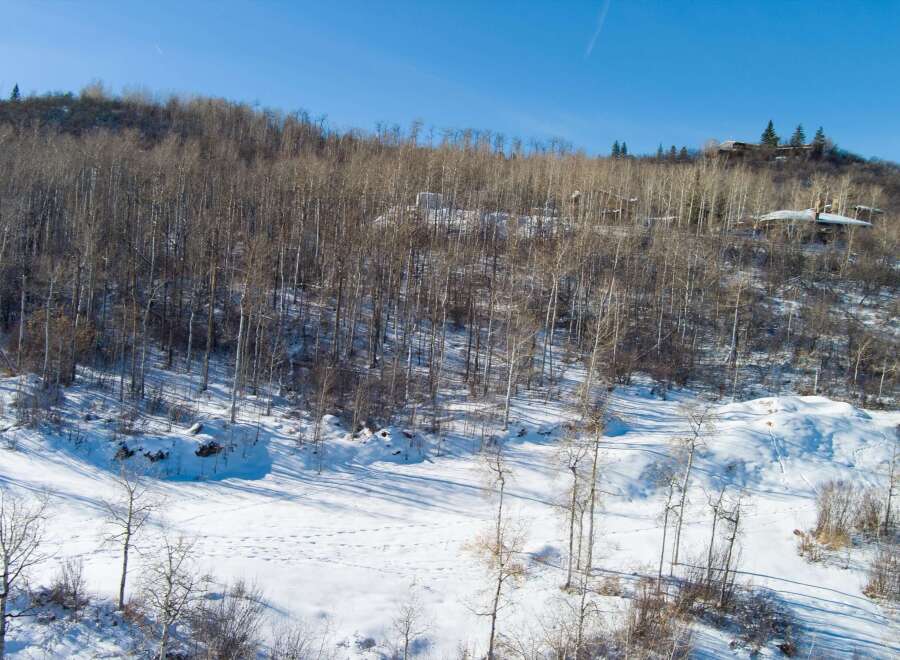 Nestled in a serene winter landscape, this property offers a unique blend of natural beauty and architectural design.