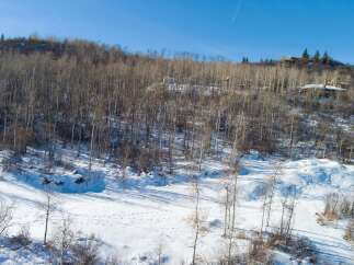 Nestled in a serene winter landscape, this property offers a unique blend of natural beauty and architectural design.