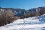 Explore the beauty of this winter wonderland! This stunning property boasts a serene landscape with fresh snow and a clear blue sky.