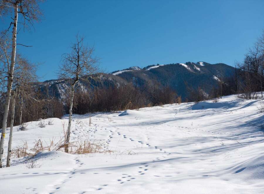 Explore the serene beauty of this winter wonderland! This stunning property boasts a picturesque landscape with snow-covered terrain and majestic mountains in the background.