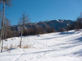Explore the serene beauty of this winter wonderland! This stunning property boasts a picturesque landscape with snow-covered terrain and majestic mountains in the background.