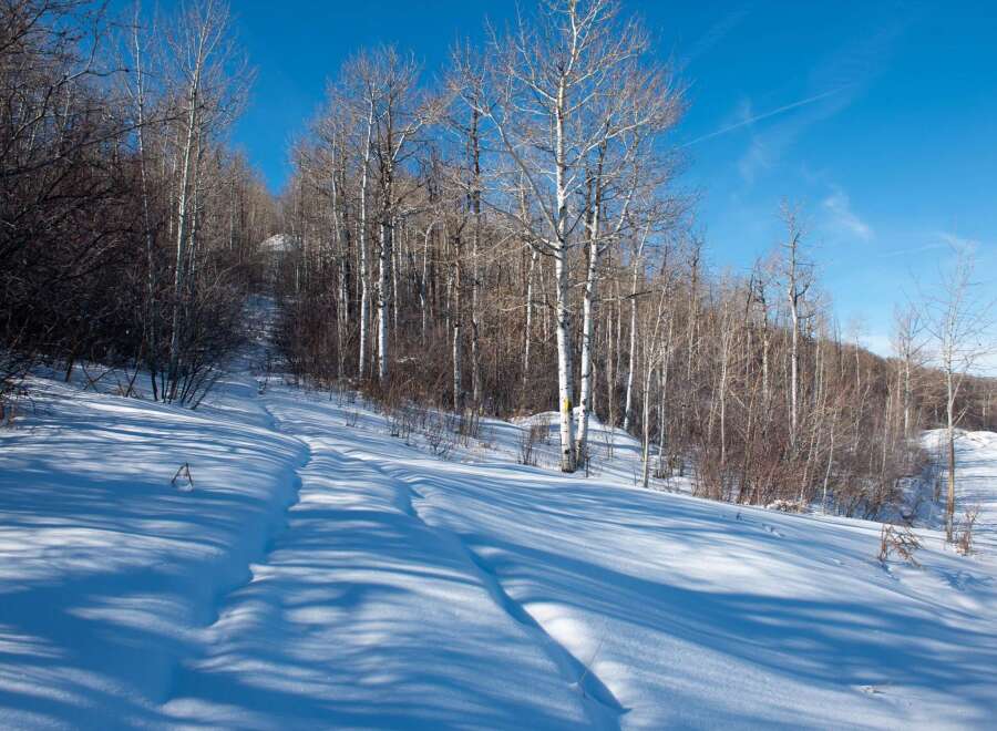 Explore the serene beauty of this winter wonderland, perfect for outdoor enthusiasts.