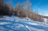 Explore the serene beauty of this winter wonderland, perfect for outdoor enthusiasts.