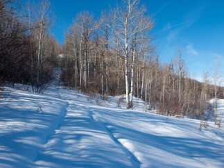 Explore the serene beauty of this winter wonderland, perfect for outdoor enthusiasts.