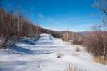 Explore the serene beauty of this winter wonderland, perfect for outdoor enthusiasts.