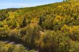 Discover the beauty of nature with this stunning property, nestled amidst a vibrant forest.