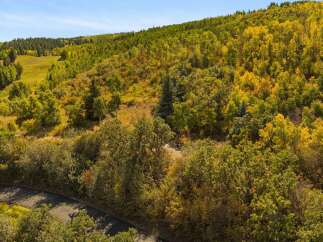Discover the beauty of nature with this stunning property, nestled amidst a vibrant forest.