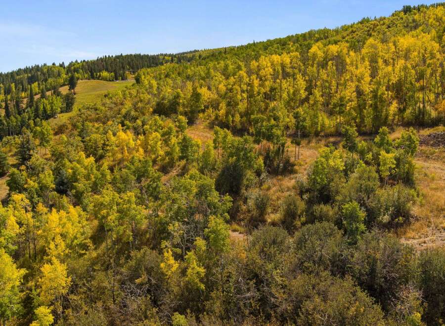 Explore the beauty of nature with this stunning property featuring a vibrant landscape.