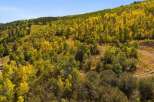Explore the beauty of nature with this stunning property featuring a vibrant landscape.