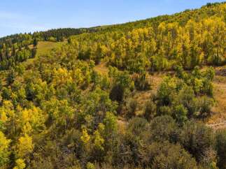Explore the beauty of nature with this stunning property featuring a vibrant landscape.