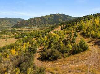 Discover the beauty of this stunning mountain property, offering breathtaking views and a serene natural setting.