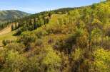 Discover the beauty of this stunning property nestled in a picturesque mountain landscape.