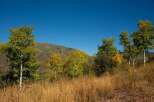 Discover the beauty of nature with this stunning property.