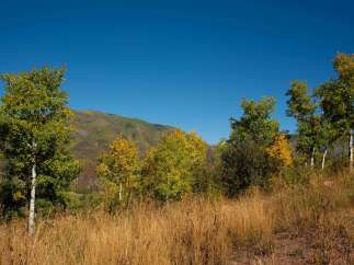 Discover the beauty of nature with this stunning property.