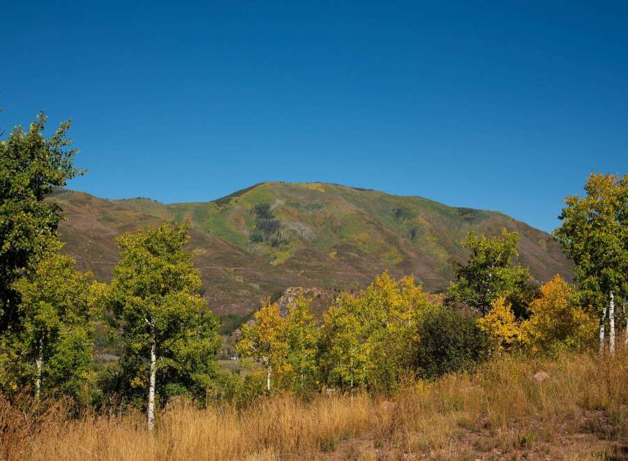 Discover the beauty of nature with this stunning landscape.