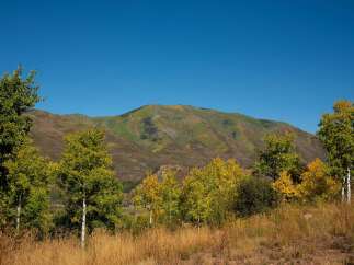 Discover the beauty of nature with this stunning landscape.