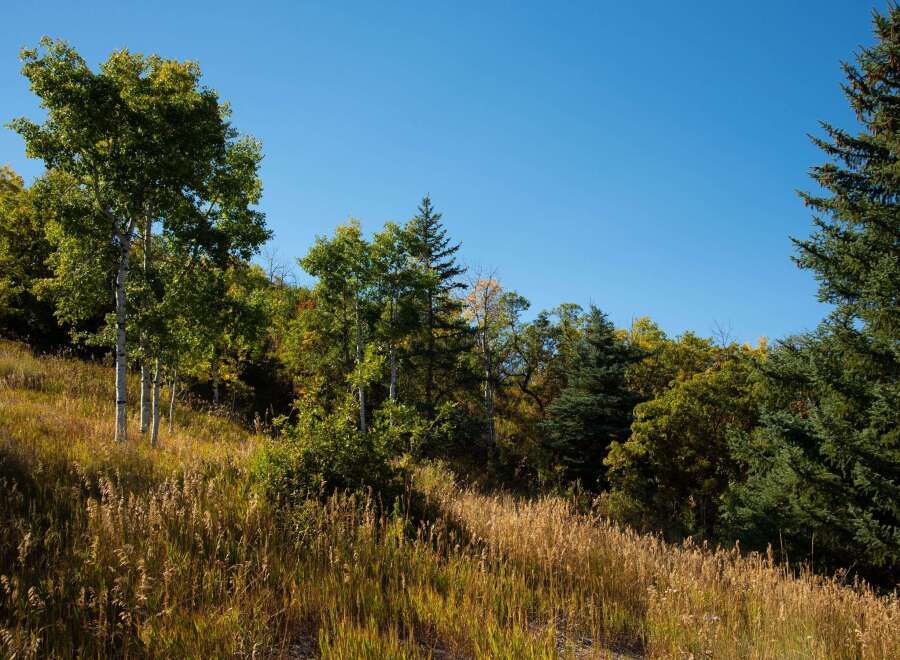 Discover the beauty of nature with this stunning landscape.