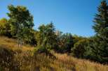 Discover the beauty of nature with this stunning landscape.
