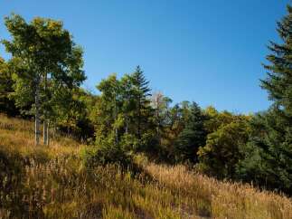 Discover the beauty of nature with this stunning landscape.