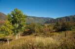 Discover the beauty of this stunning property nestled in a picturesque landscape.