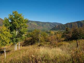 Discover the beauty of this stunning property nestled in a picturesque landscape.