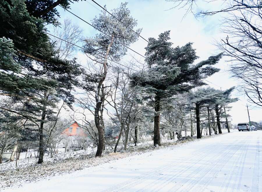 Nestled in a serene winter wonderland, this property offers a picturesque escape.