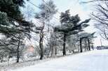 Nestled in a serene winter wonderland, this property offers a picturesque escape.