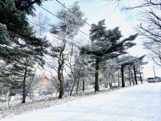 Nestled in a serene winter wonderland, this property offers a picturesque escape.