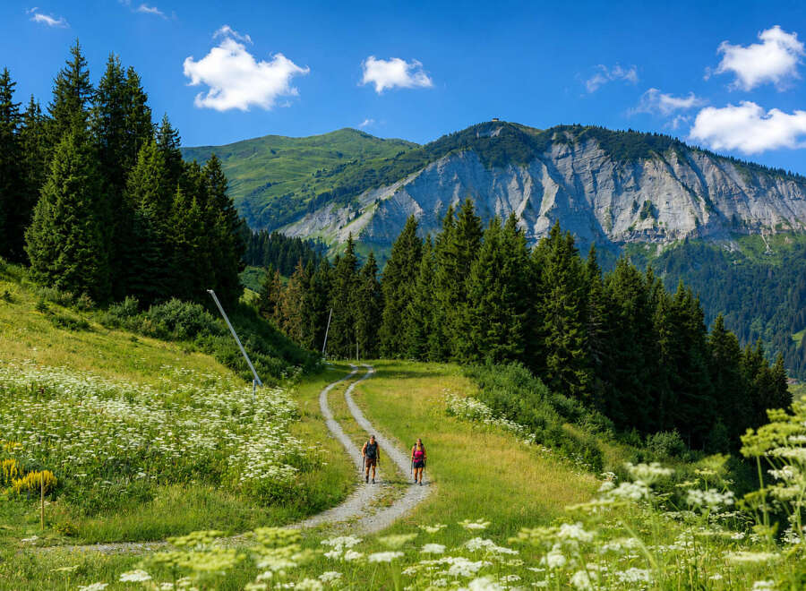 Experience the ultimate alpine lifestyle with this stunning property offering breathtaking mountain views and direct access to scenic hiking trails.