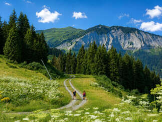 Experience the ultimate alpine lifestyle with this stunning property offering breathtaking mountain views and direct access to scenic hiking trails.