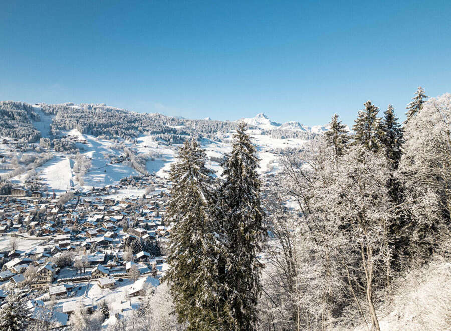 Nestled in a picturesque winter wonderland, this property offers stunning views of snow-capped mountains and a charming village.