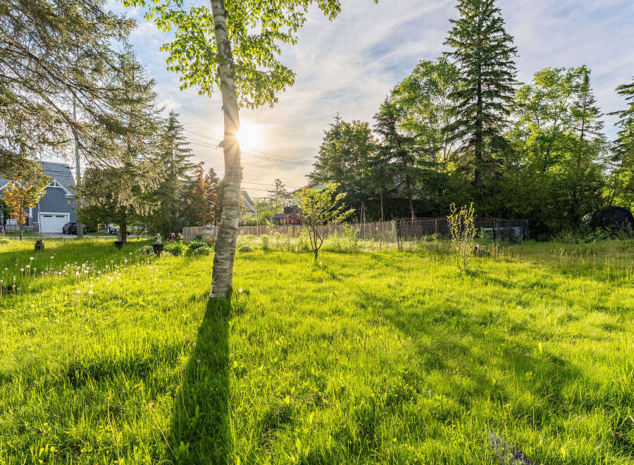 Experience the charm of this property with its lush, green lawn dotted with dandelions, perfect for outdoor activities.