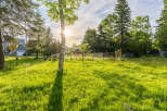 Experience the charm of this property with its lush, green lawn dotted with dandelions, perfect for outdoor activities.