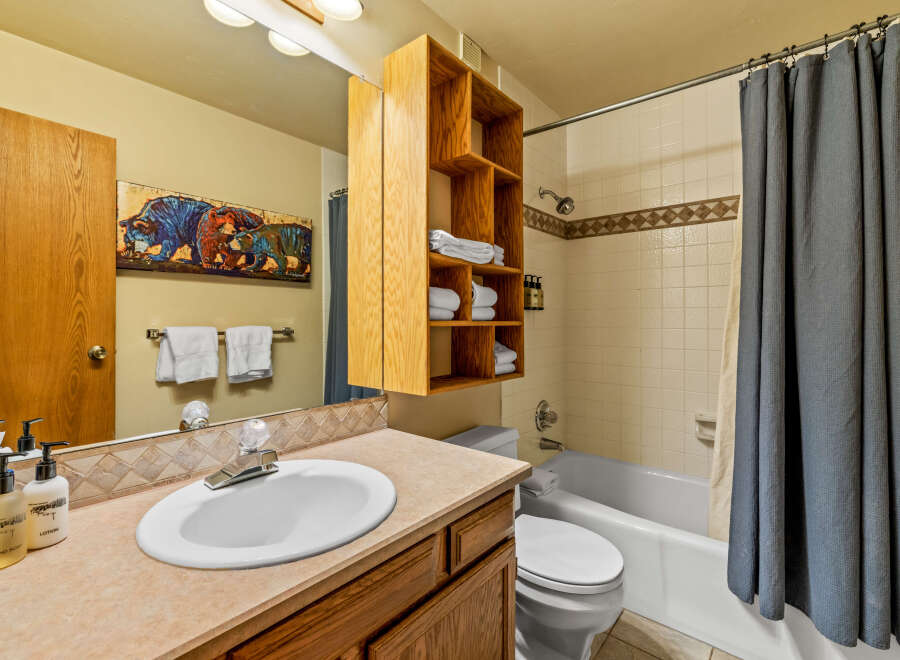 This charming bathroom features a well-lit vanity area with a stylish sink and ample counter space.