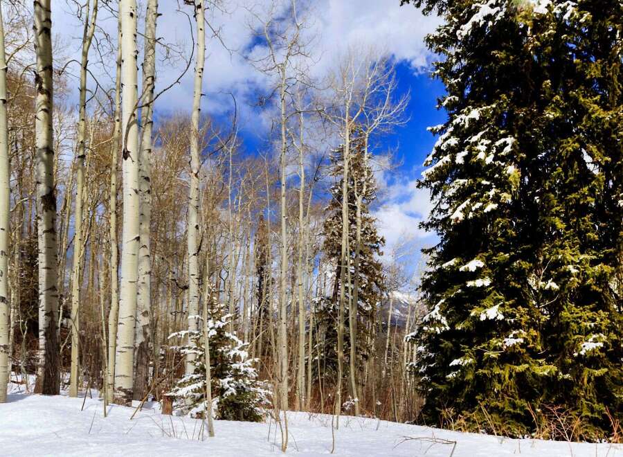 Discover the tranquility of this stunning property nestled in a winter wonderland.