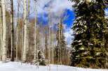 Discover the tranquility of this stunning property nestled in a winter wonderland.