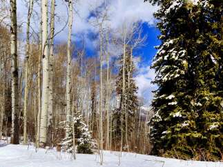 Discover the tranquility of this stunning property nestled in a winter wonderland.