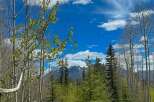 Discover the tranquility of mountain living with this stunning property.