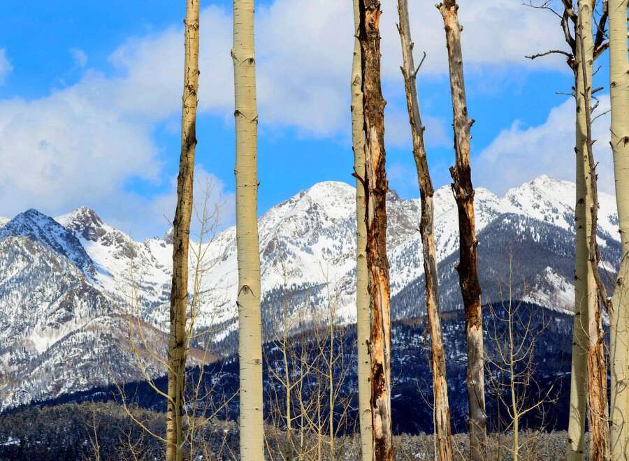 Experience the serenity of mountain living with this stunning property.