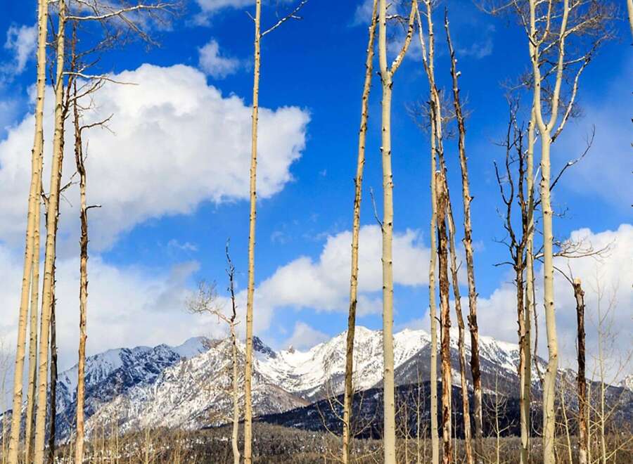 Experience the serenity of mountain living with this stunning property.