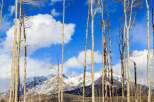 Experience the serenity of mountain living with this stunning property.