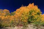 Experience the beauty of nature with this stunning property surrounded by vibrant fall foliage.