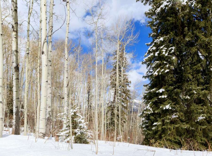 Discover the tranquility of this stunning property nestled in a winter wonderland.