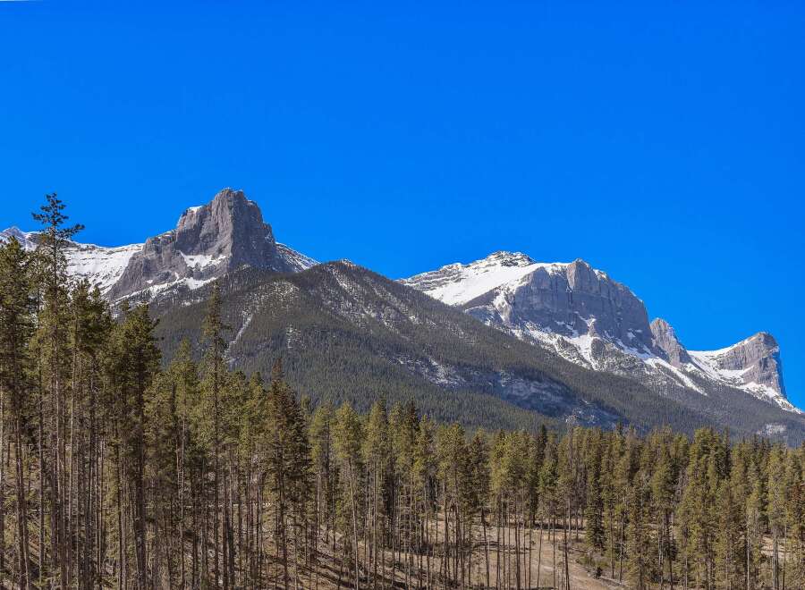 Experience the majestic beauty of the mountains with this stunning property.