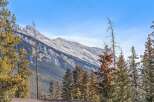 Nestled amidst the majestic mountains, this property offers breathtaking views and a serene atmosphere.