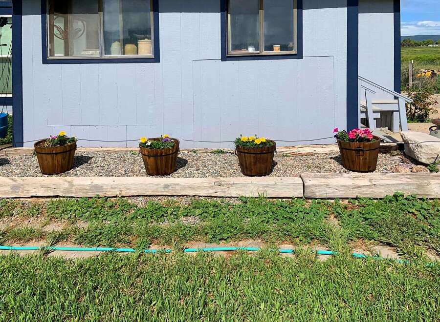 Charming property with a welcoming facade, featuring a row of vibrant flower pots adding a touch of color.