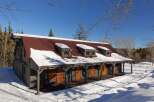 Nestled in a winter wonderland, this charming property boasts a rustic barn-style structure with a striking red corrugated metal roof.
