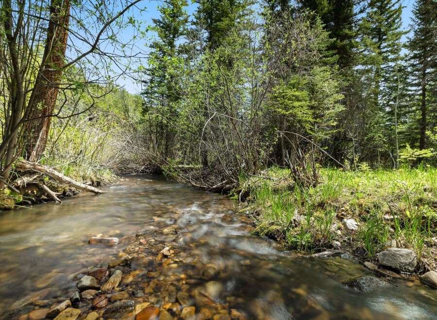 Discover the tranquility of this stunning property, featuring a serene stream winding through lush greenery.